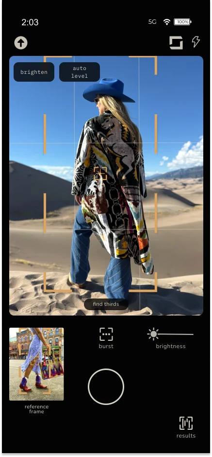 Pointer capture screen, with a composition grid, an auto-brighten suggestion, and a reference frame for matching the shot.